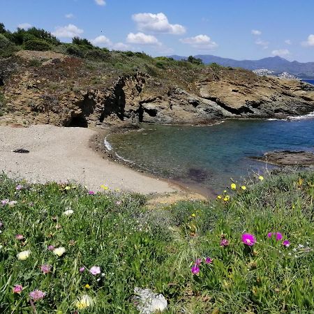Casa Platja D'En Robert Villa El Port De La Selva Eksteriør bilde