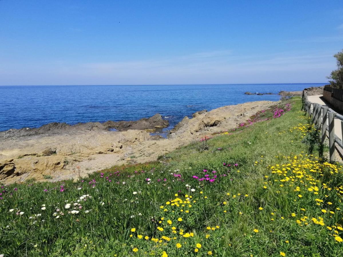 Casa Platja D'En Robert Villa El Port De La Selva Eksteriør bilde